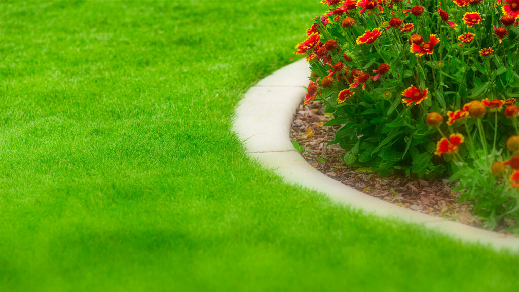 Juin : un mois clés pour les jardiniers indépendants