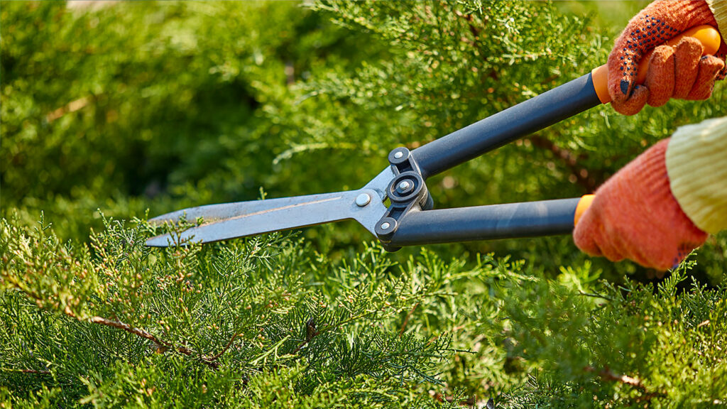 Valoriser ses prestations paysagères grâce à des compléments simples et pertinents