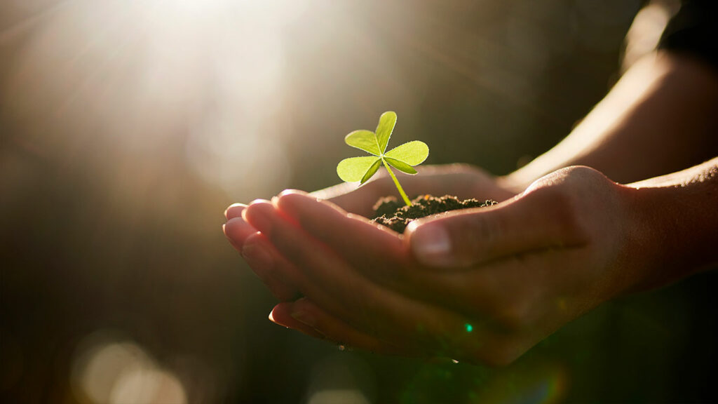 Biodiversité et prestations paysagères : un levier concret de valeur ajoutée