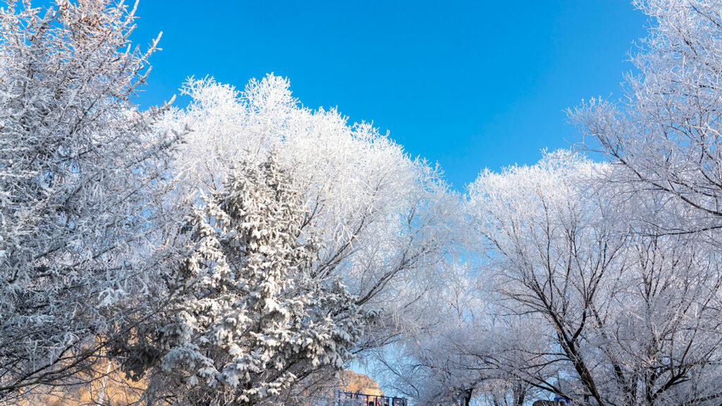 Grand froid : obligations des employeurs et bonnes pratiques pour sécuriser vos interventions paysagères