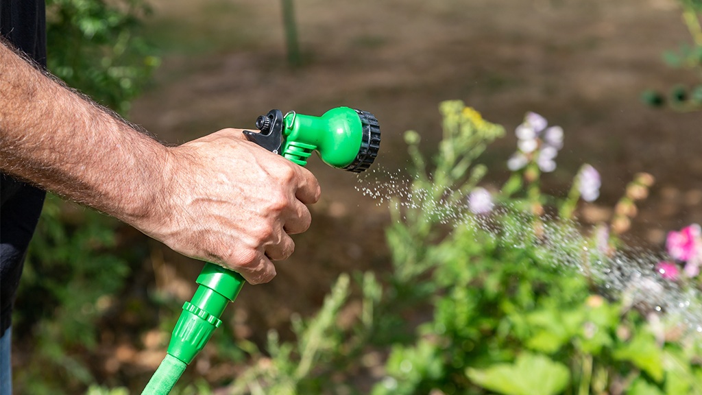 Jardin canicule 2026 : le guide du jardinier SAP