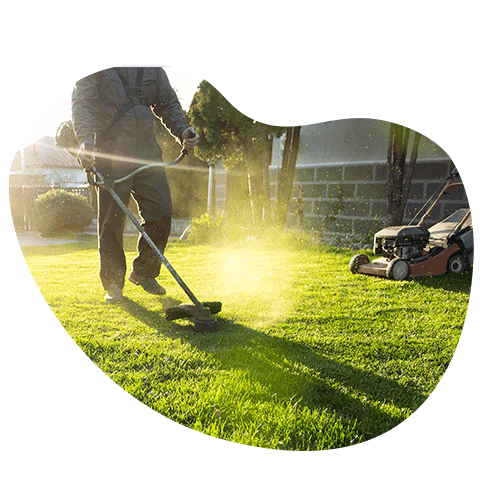 AdomSAP coopérative SAP jardiniers paysagiste